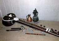 струнные индийские инструменты